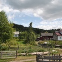 56. Poiana Micului